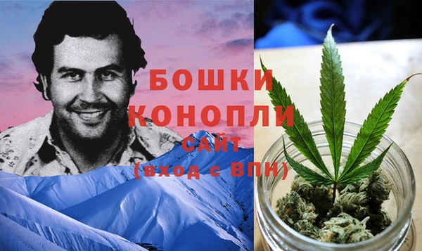 молекула духа Медвежьегорск