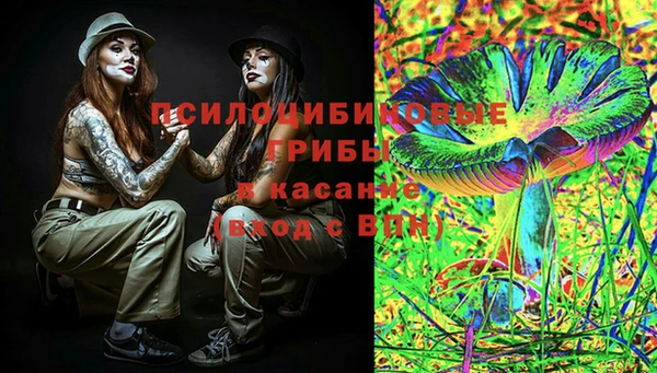 молекула духа Медвежьегорск