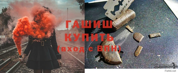 молекула духа Медвежьегорск
