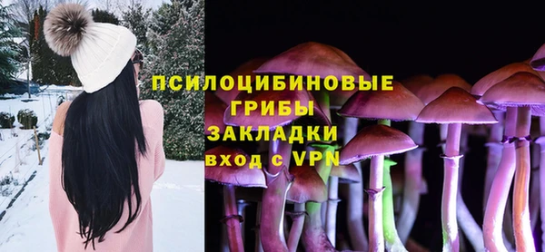 молекула духа Медвежьегорск