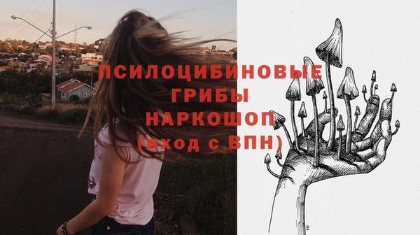 молекула духа Медвежьегорск