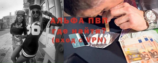 молекула духа Медвежьегорск