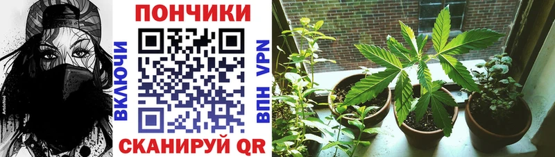 Конопля планчик  Купить закладки  Мурманск 
